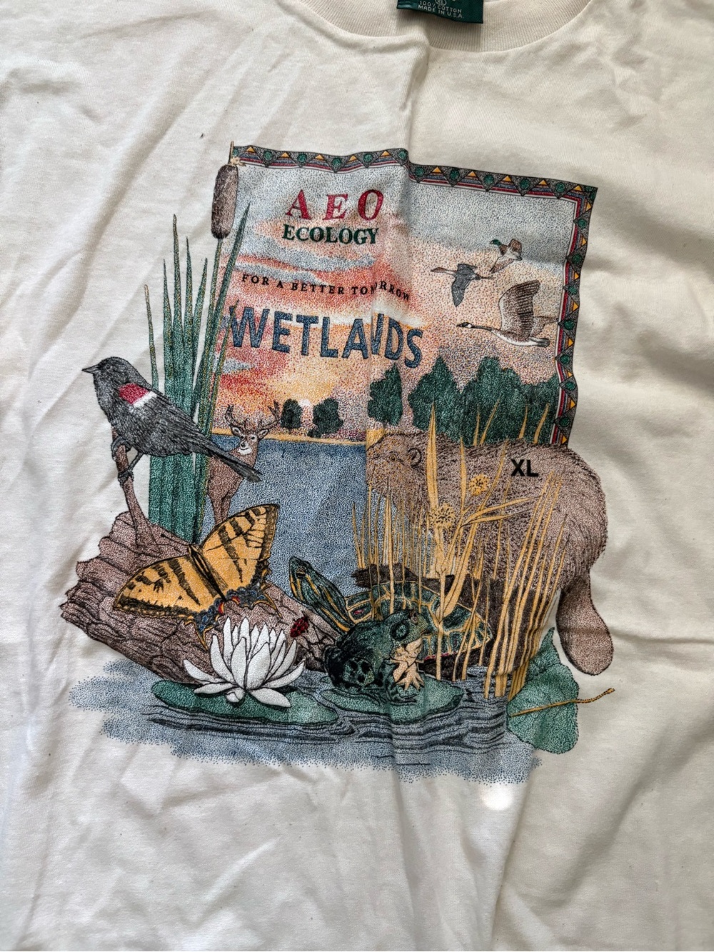 Vintage American Eagle t shirt